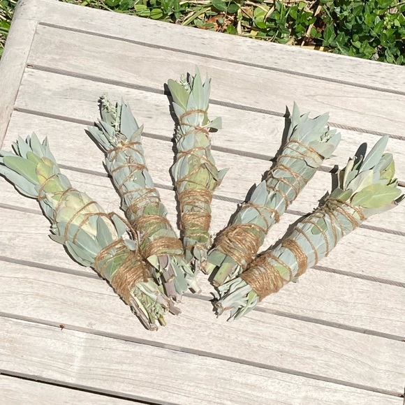 White Sage 1 stick 8”x 1” Organic New Hand Crafted - Picture 1 of 16